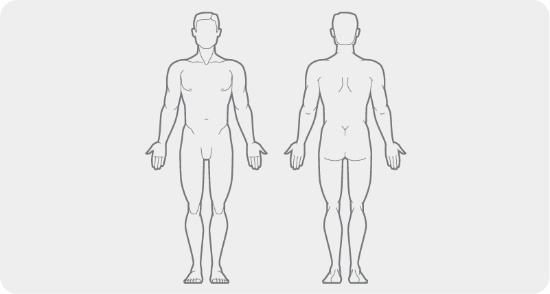 The Body Chart