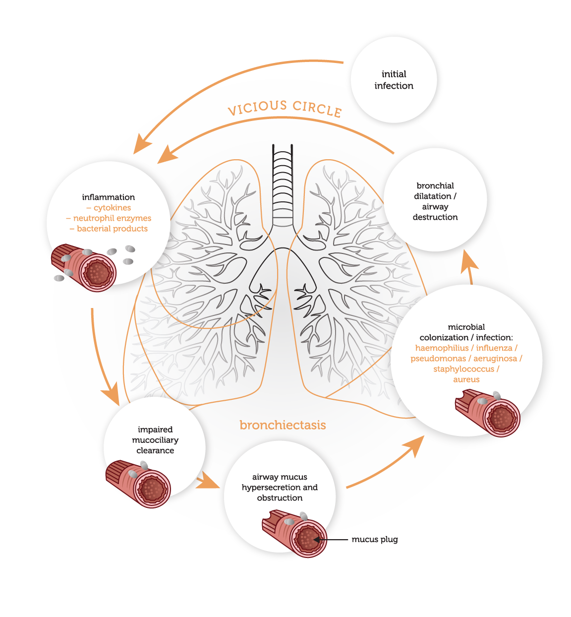 Pathophysiology Chart